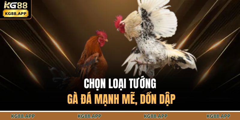 Chọn loại tướng gà đá mạnh mẽ, dồn dập