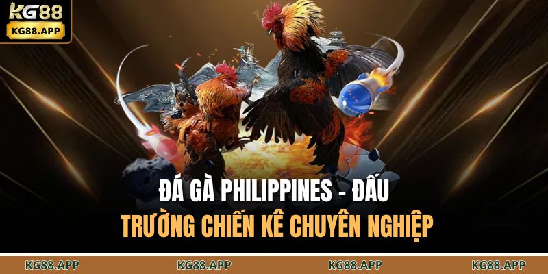 Đá gà Philippines