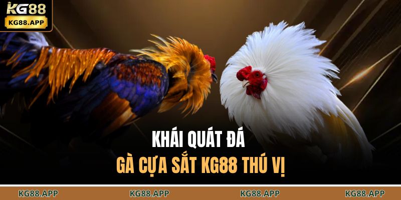 Khái quát đá gà cựa sắt KG88 thú vị